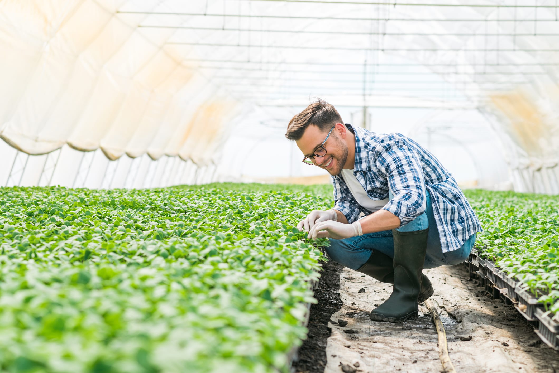 How Fabric Structures Help the Agricultural Industry-American Pavilion